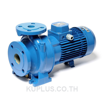 EBARA 3D 65-160/15 ปั๊มหอยโข่ง (หน้าแปลน) 3 x 2.1/2 นิ้ว 20.0 HP 380 VAC