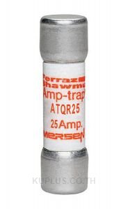 Fuse, Class CC, Transformer Duty, 600V, 25A,
