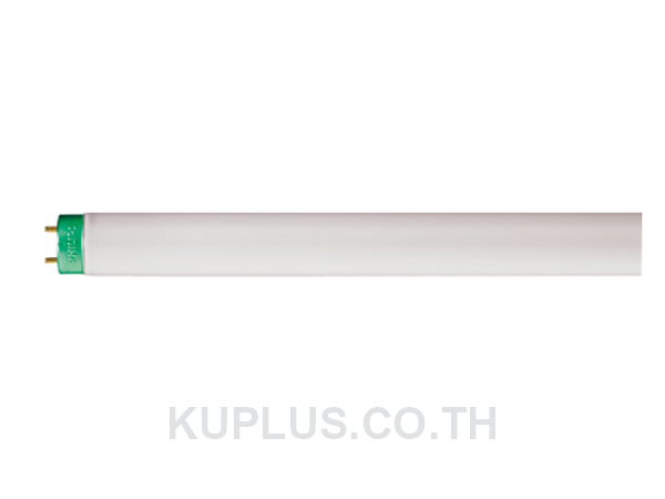 TL-D Super หลอดนีออน 18W TLD18W/865PL  ยาว 60 ซม.